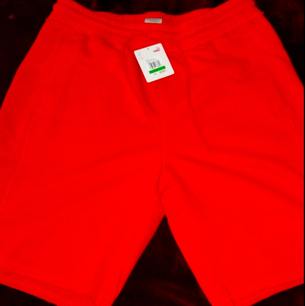 Puma Drycell Shorts